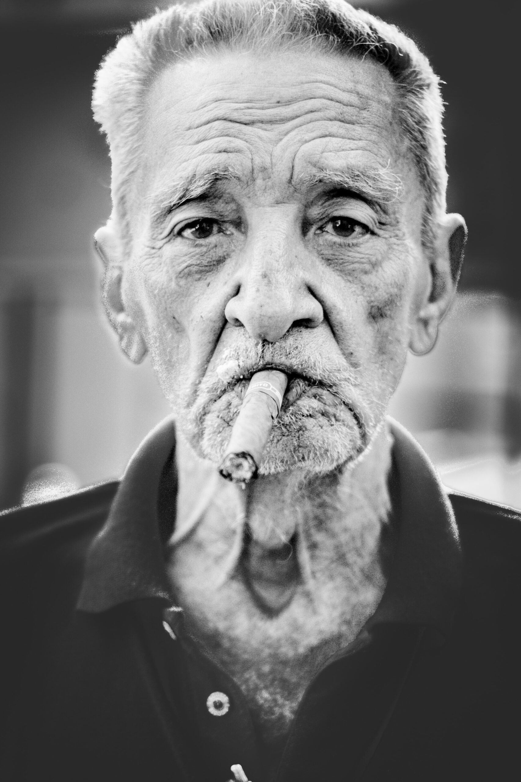 ellen-carlson-hanse-BibFuRgcO54-unsplash (1)